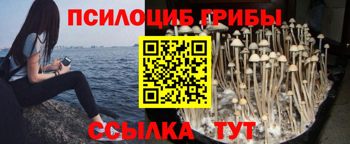 Галлюциногенные грибы GOLDEN TEACHER Нововоронеж